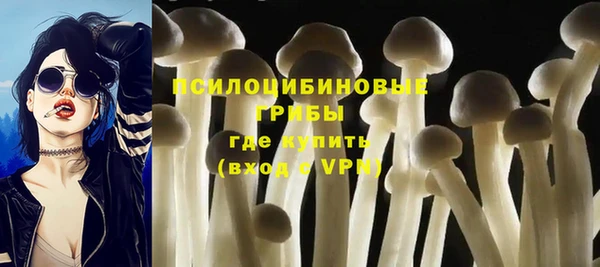 эйфоретик Алзамай