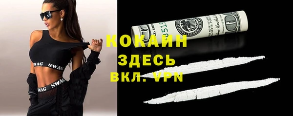 спайс Алексин
