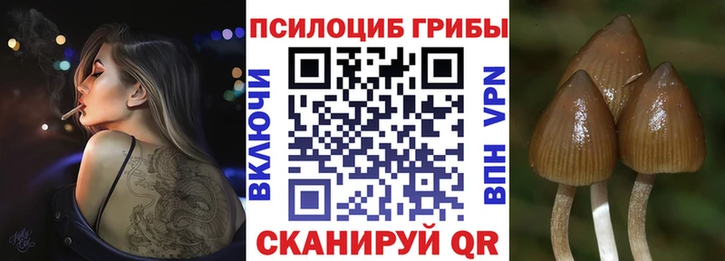 Псилоцибиновые грибы мухоморы Лахденпохья